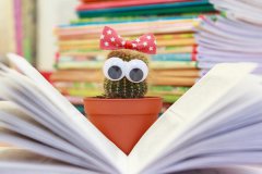 <b>初中物理六大学习秘诀_最简单的提高物理成绩的方法</b>