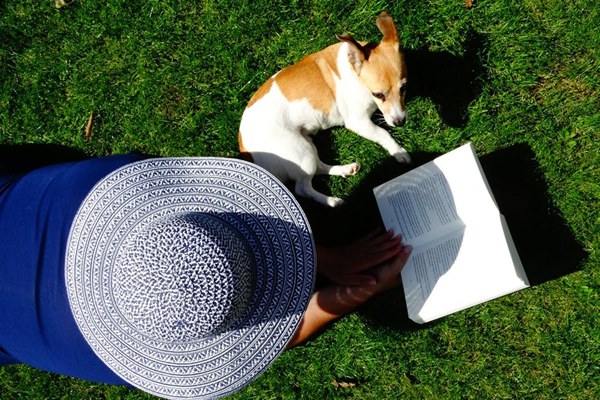 提高高中英语成绩的好方法,学好高中英语的秘诀