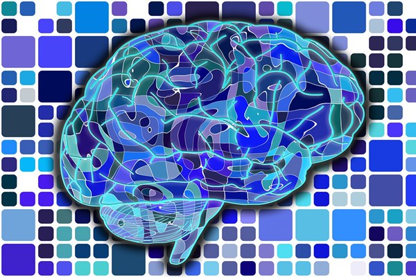 简单实用的初中生物记忆法