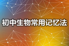 <b>如何掌握正确的生物记忆方法？</b>