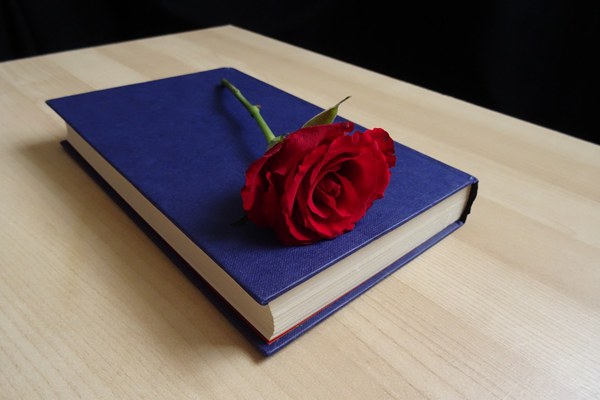 初中历史常用解题模板及万能公式