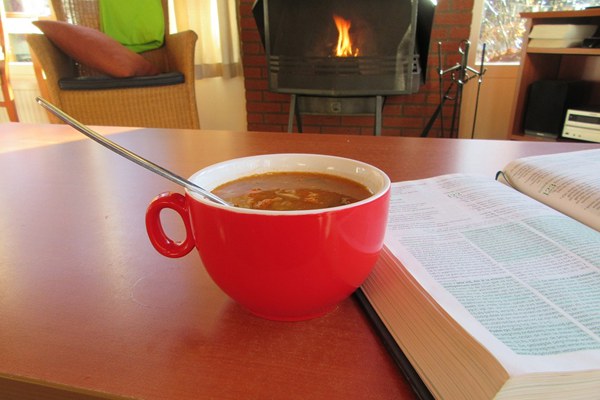 高中物理方法指导及学习步骤