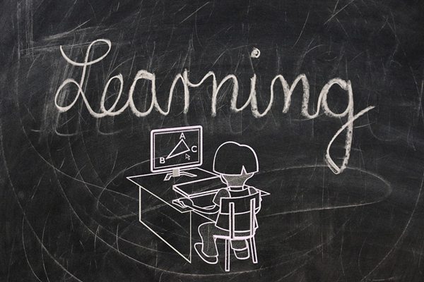 高中生物选择题解题技巧大全