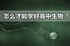 <b>怎么才能学好高中生物_学好高中生物需要哪些方法？</b>
