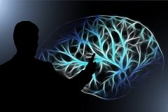 <b>提高高中生物成绩的复习方法_怎样提高生物成绩</b>