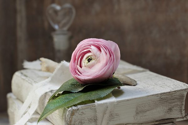 高中生常用历史记忆法,高中生如何巧妙的记忆历史