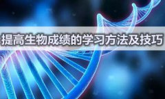 <b>提高生物成绩的学习方法及技巧</b>