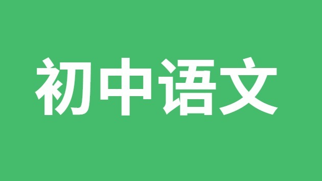 初中语文复习方法