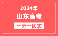 山东高考一分一段表2024年位次查询表(完整版)