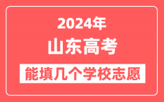 2024年山东高考志愿填报能填几个学校志愿?