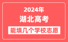 2024年湖北高考志愿填报能填几个学校志愿?