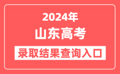 2024年山东高考录取结果查询入口网址(https://www.sdzk.cn)