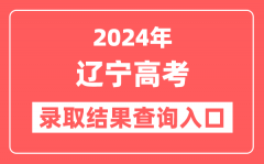 2024年辽宁高考录取结果查询入口网址(https://www.lnzsks.com)