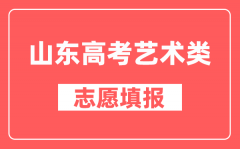 山东高考音乐类、表(导)演类考生在同一类别是否可以兼报志愿?