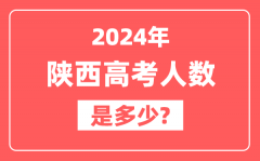 2024年陕西高考人数是多少_2025会增加吗?