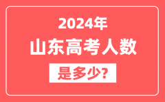 2024年山东高考人数是多少_2025会增加吗?