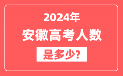 2024年安徽高考人数是多少_2025会增加吗?