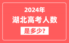 2024年湖北高考人数是多少_2025会增加吗?