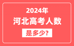 2024年河北高考人数是多少_2025会增加吗?