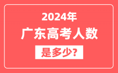 2024年广东高考人数是多少_2025会增加吗?
