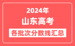 2024年山东高考各批次分数线汇总(含一段线,二段线,特殊类型控制线)