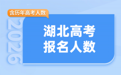 2026年湖北高考人数是多少_各地市高考人数统计表